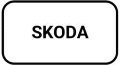 Skoda Plug and Play Versterkers