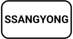 Ssang Yong autoradio